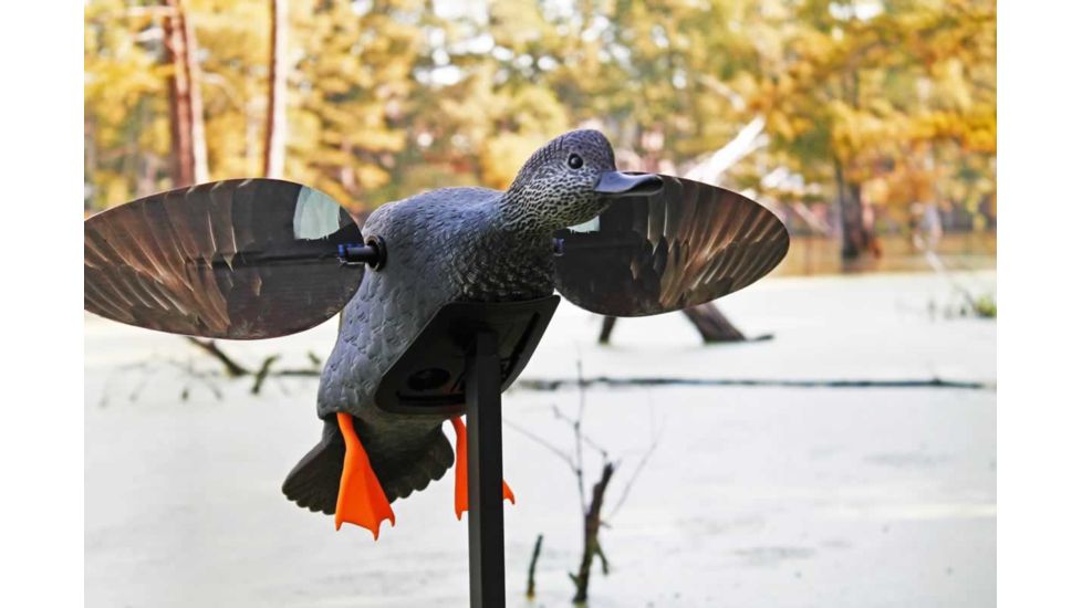 Mojo Gadwall Decoy, Elite Series, HW2473