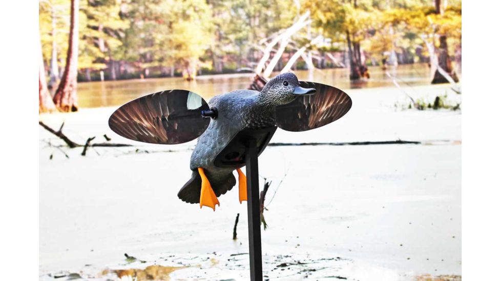 Mojo Gadwall Decoy, Elite Series, HW2473
