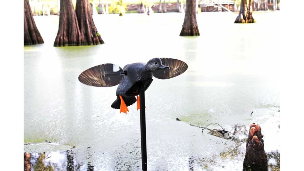 Mojo Gadwall Decoy, Elite Series, HW2473