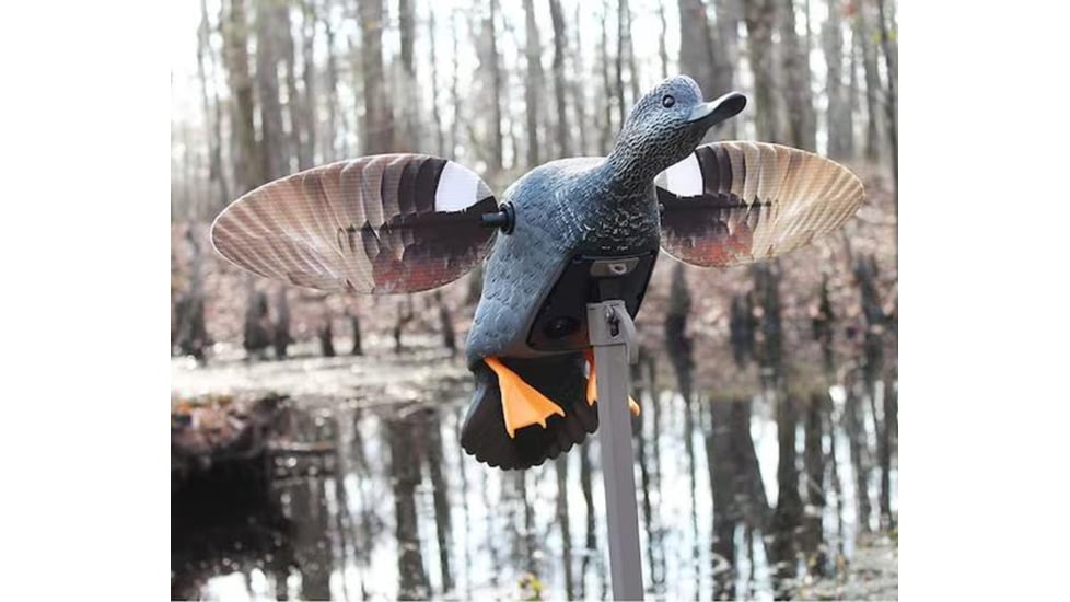 Mojo ES Gadwall, Decoy, HW24733P