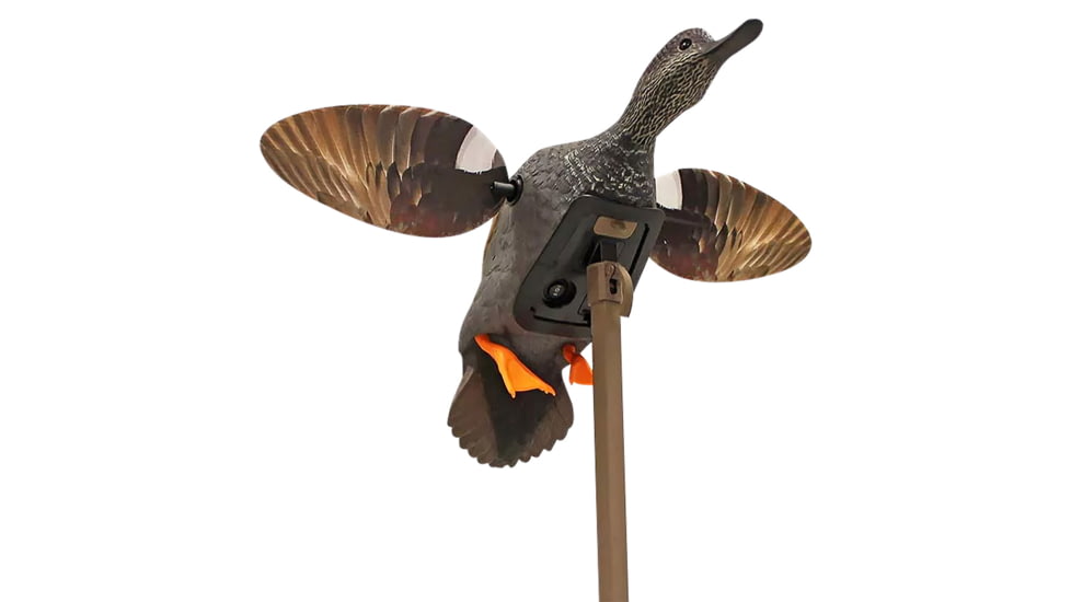 MOJO HW2473-3P ES GADWALL HW24733P