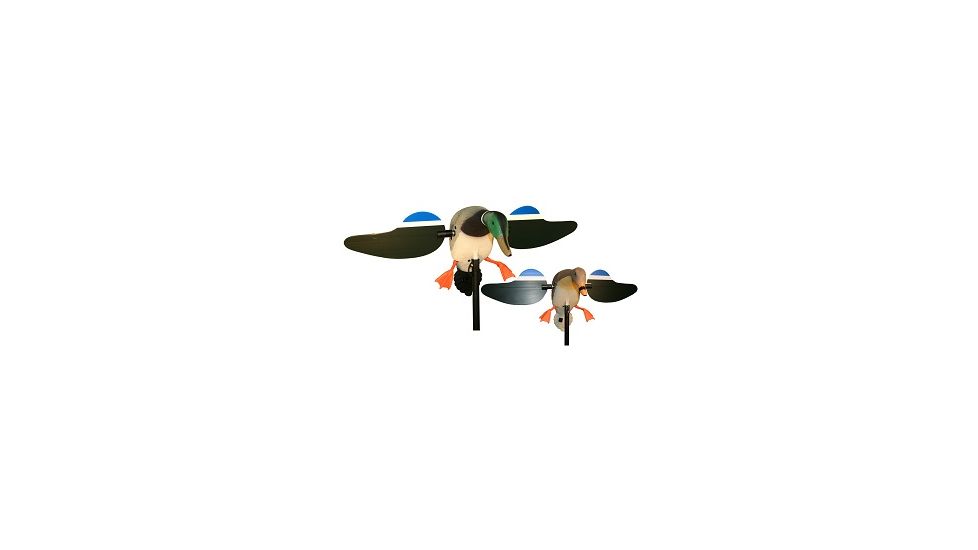 Mojo Mallard Drake, Decoy w/Multi-Remote 80383