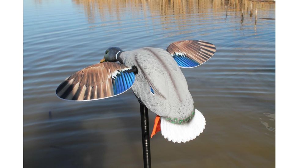 Mojo Mini Mallard Drake Decoy, Elite Series HW2470