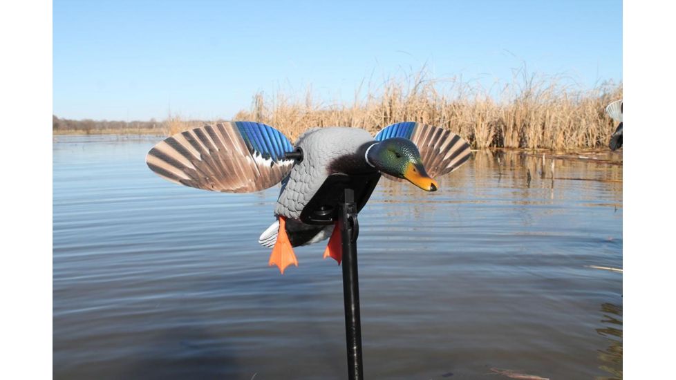 Mojo Mini Mallard Drake Decoy, Elite Series HW2470