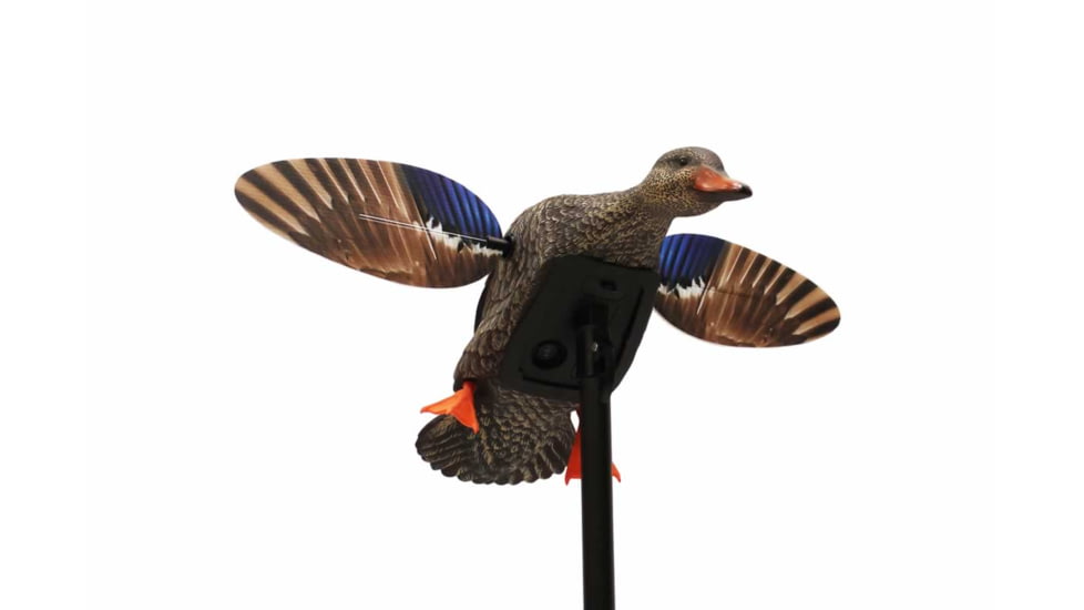 Mojo Mini Mallard Hen Decoy, Elite Series, HW2471