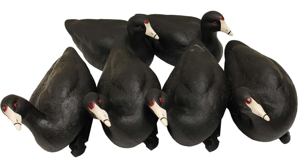 Mojo MOJO Coot Confidence Decoys