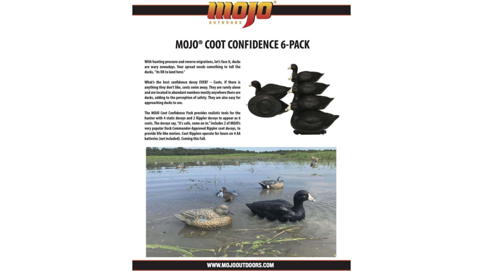Mojo MOJO Coot Confidence Decoys