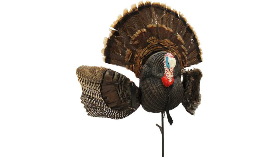 Mojo Scoot N Shoot Max Turkey Decoy