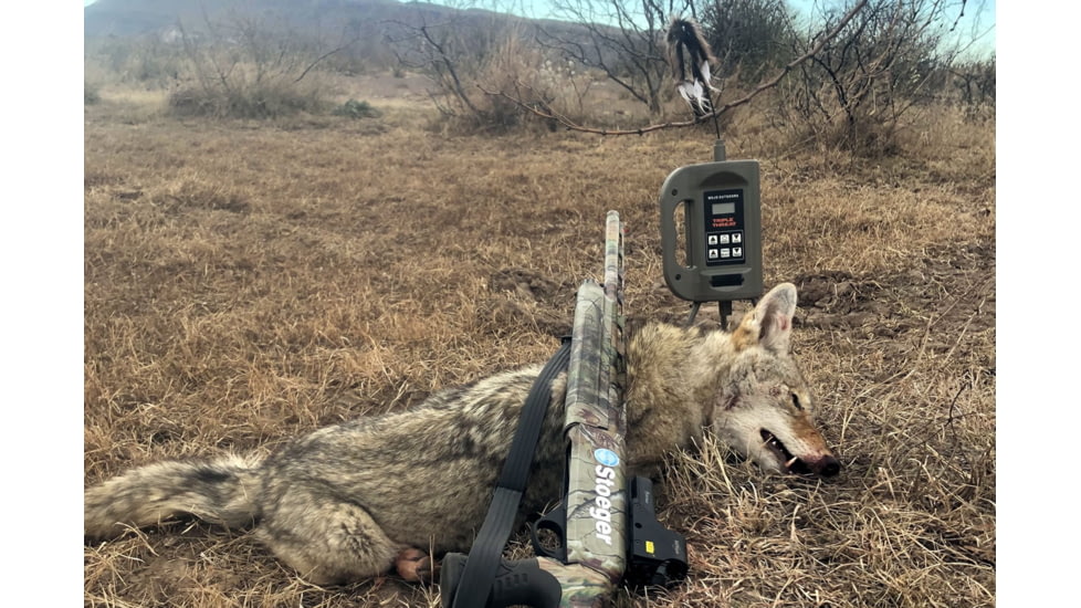 Mojo Triple Threat E-Caller Digital Game Call, Camo, HW2503