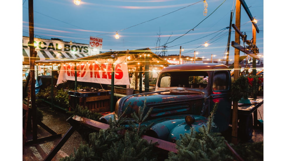 Moment 67mm CineFlare Streak Filter, Gold, 600-126