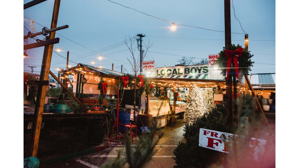 Moment 67mm CineFlare Streak Filter, Gold, 600-126