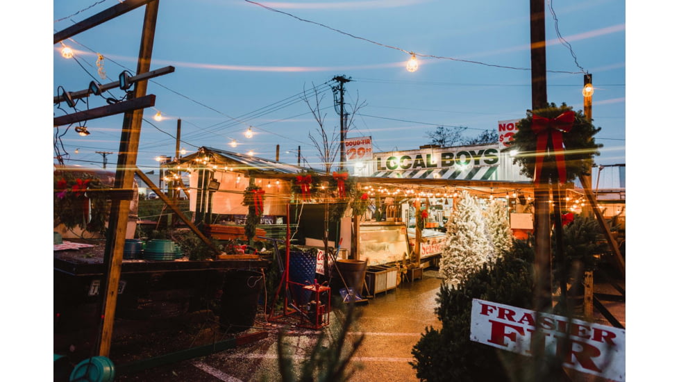 Moment 67mm CineFlare Streak Filter, Gold, 600-126