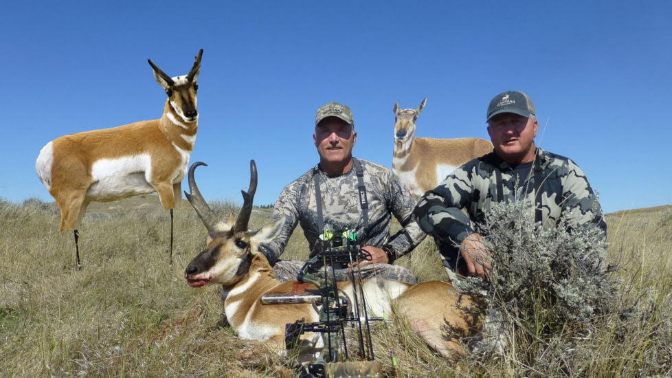 Montana Decoy Co. Antelope Decoy Combo