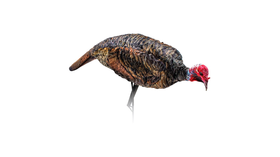 Montana Decoy Co. Montana Decoy Turkey Jake Purr-fect Xd
