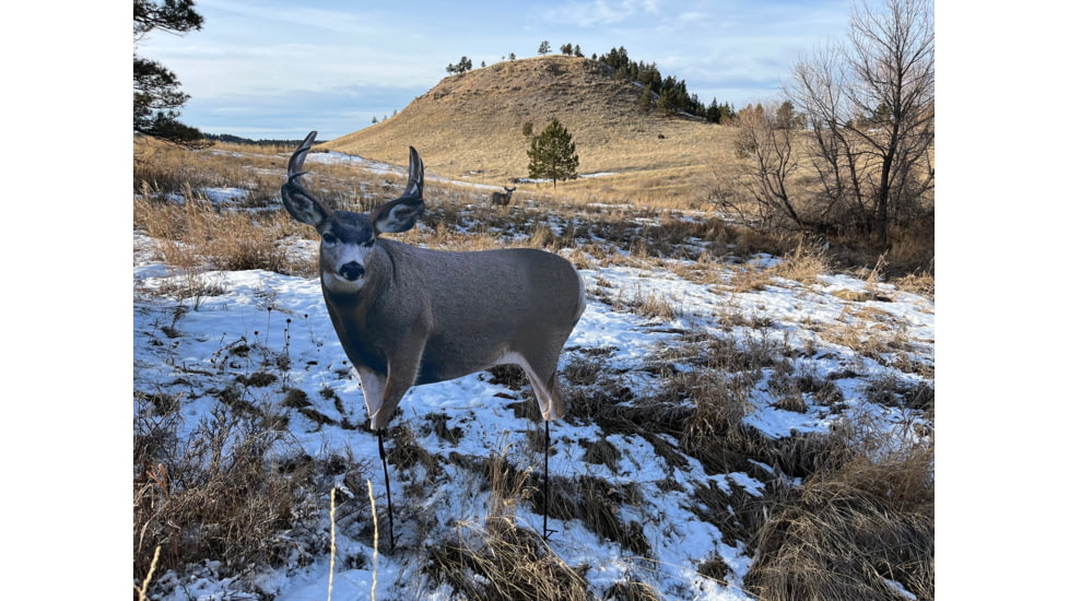 Montana Decoy Co. Muley Buck Decoy