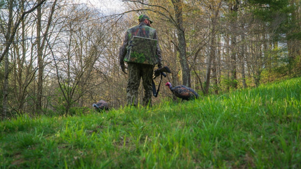 Montana Decoy Co. Purr-Fect Pair XD Decoy Combo, Multi, 86