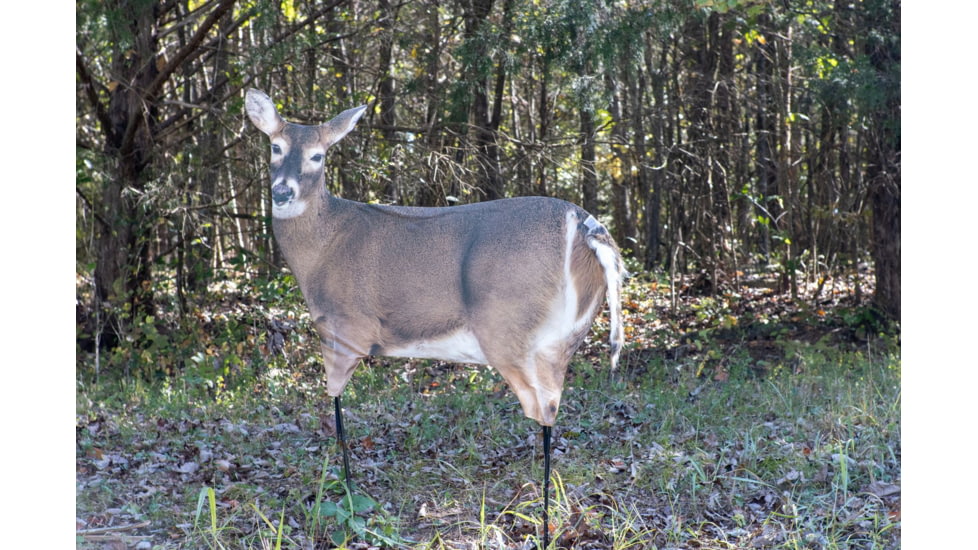 Montana Decoy Co. Trixie Whitetail Doe Decoy, Brown, 53