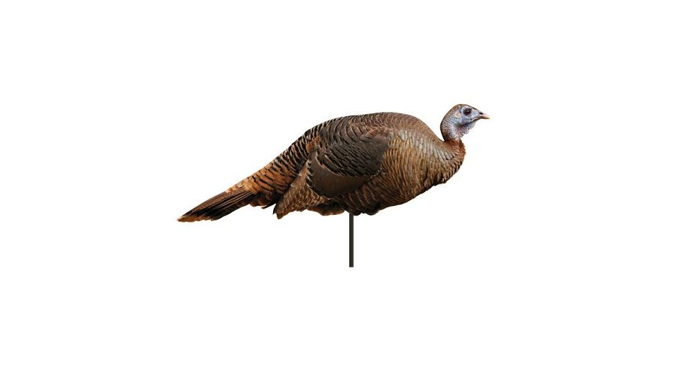 spring fling hen decoy, brown