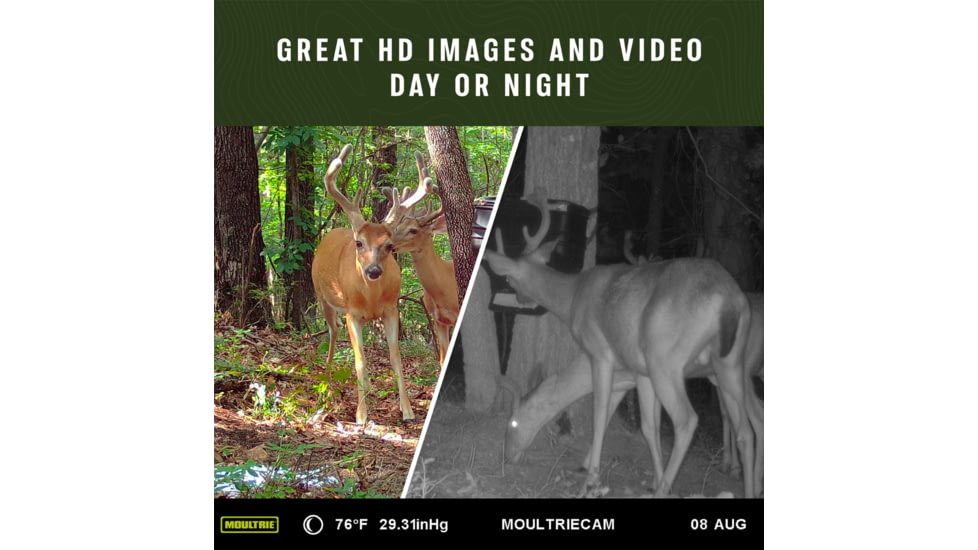 Moultrie Feeders Delta Base Cell Camera Verizon, 24MP, MCG-14061
