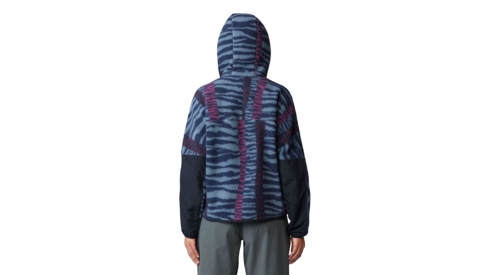 Mountain Hardwear HiCamp Fleece Printed Hoody - Womens, Montauk Blue Ridge Stripe Print, Small, 2104291430-S
