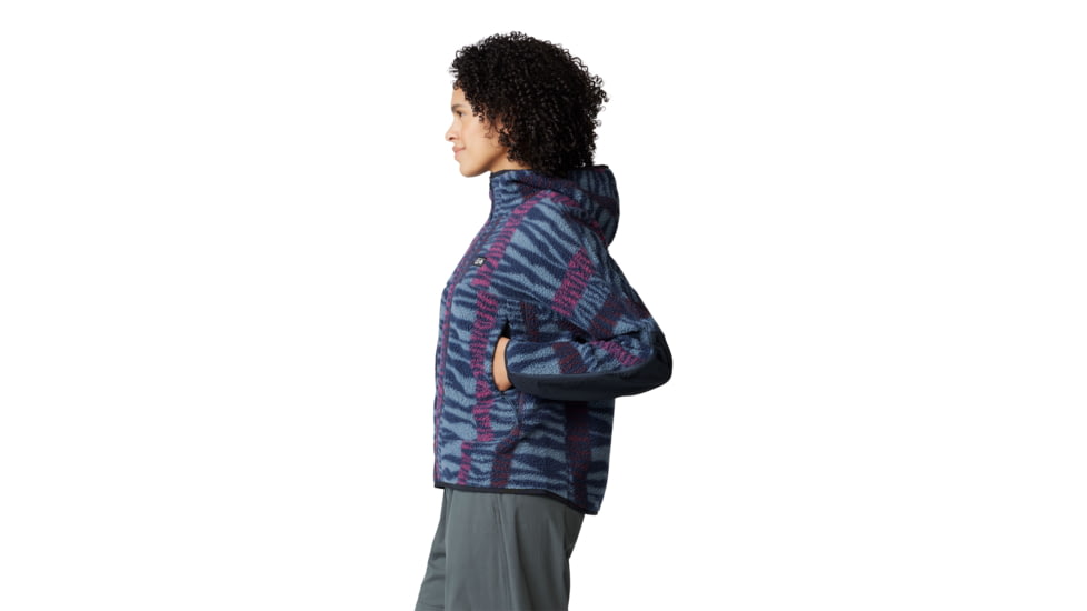 Mountain Hardwear HiCamp Fleece Printed Hoody - Womens, Montauk Blue Ridge Stripe Print, Small, 2104291430-S