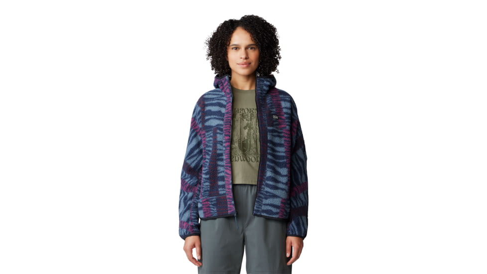 Mountain Hardwear HiCamp Fleece Printed Hoody - Womens, Montauk Blue Ridge Stripe Print, Small, 2104291430-S