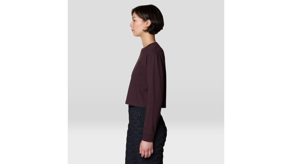Mountain Hardwear MHW Box Logo LS Crop - Womens