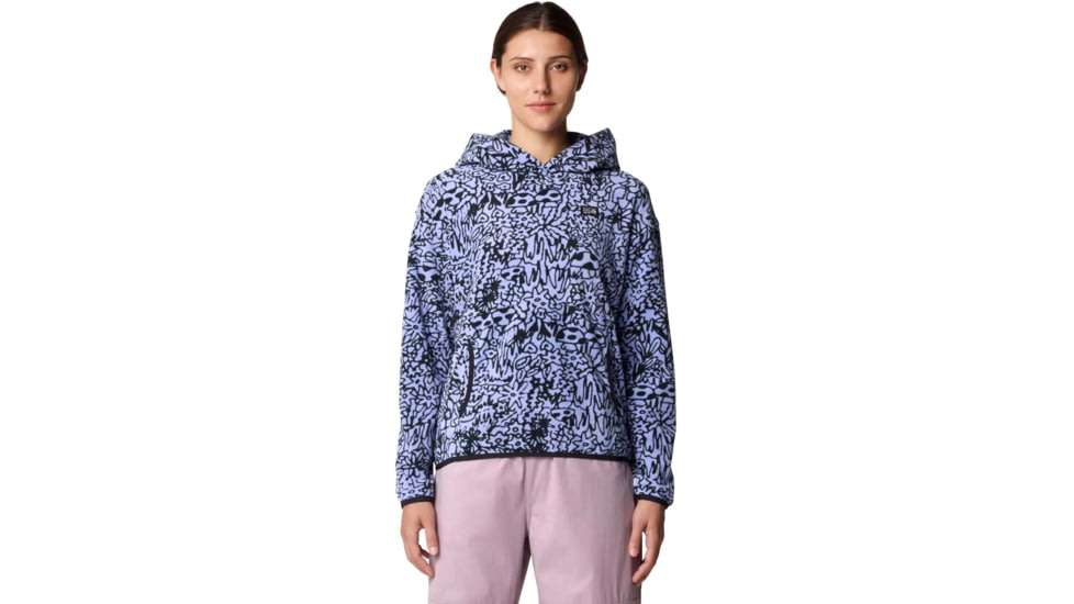 Mountain Hardwear Microchill Hoody - Womens