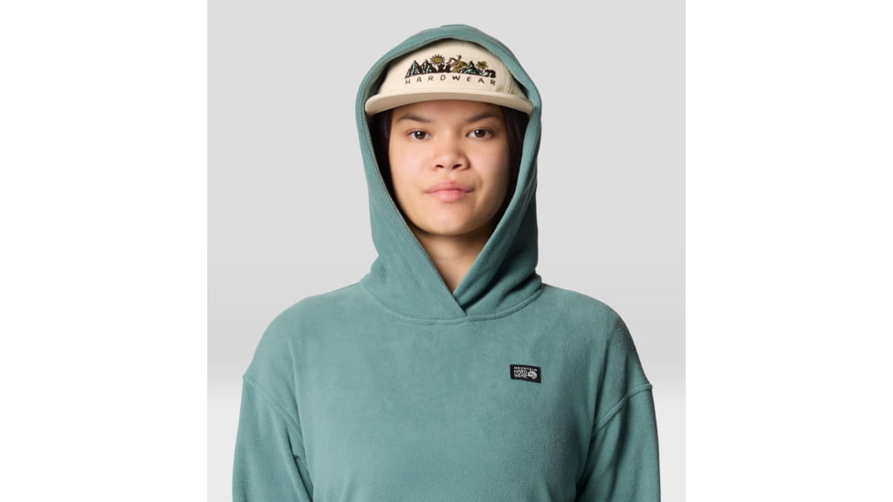 Mountain Hardwear Microchill Hoody - Womens