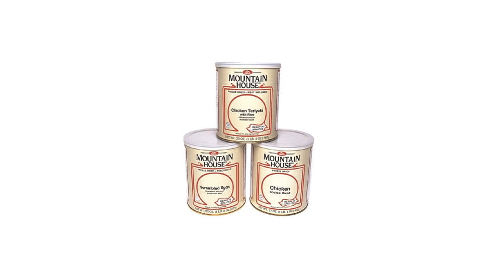 Mountain House Blueberry Cheese Cake - Bulk