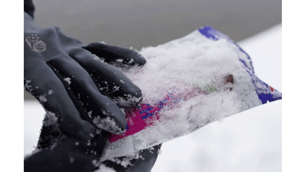 Mountain House Mint Chocolate Chip Ice Cream Sandwich, 1 Serving, 55529