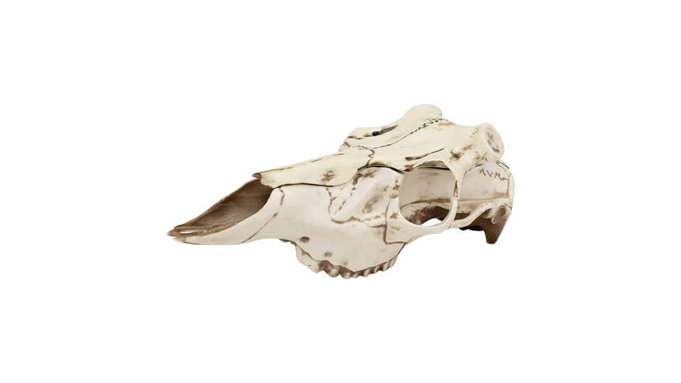 Mountain Mike's Natural Causes Skull Master Large