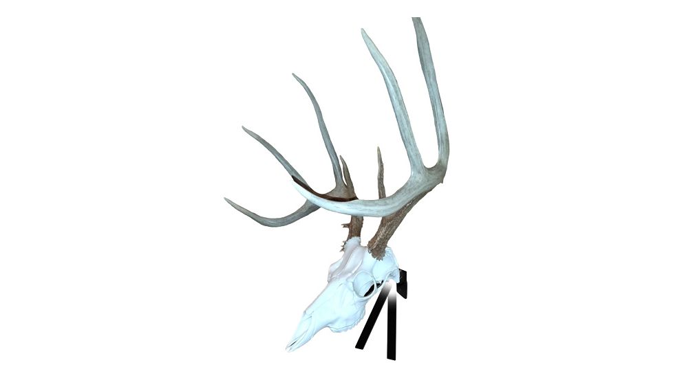 Mountain Mike's Positioner Deer