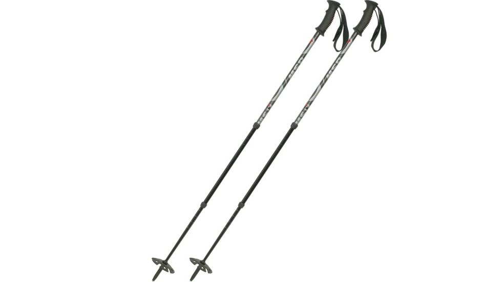 MSR Denali III Snow Poles