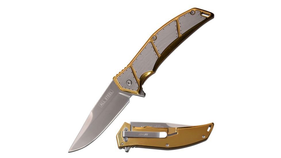 Mtech Spring Assisted Folding Knive, 3.75in Blade, Frame Lock, 3CR13 Steel Stonewached Knive, Silver/Gold, MT-A1097GD
