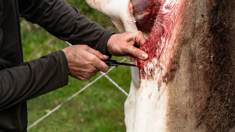 Muddy Field Master Knife Set, BlackStainless, MUD-FM1001-Z