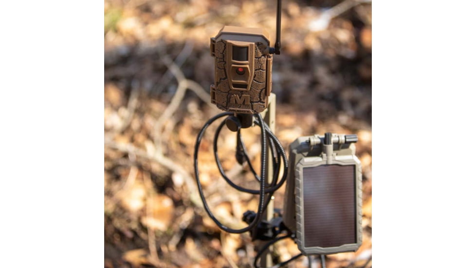 Muddy MUD-MTGTR Brown