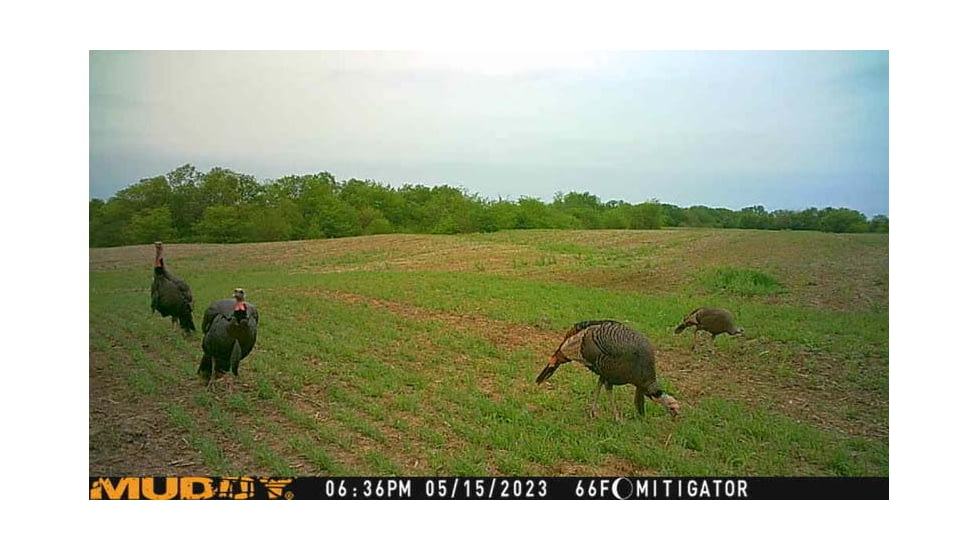 Muddy MUD-MTGTR Brown