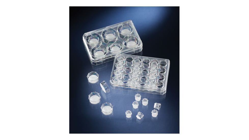 Nalge Nunc Cc Insrt 8um Pc In Md 12 Cs48 140656, Unit CS