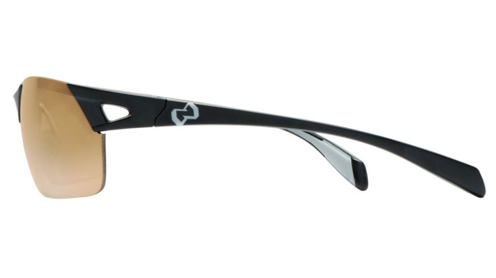 Native Eyewear Eastrim Sunglasses,Asphalt Frame,Brown Lens,Polarized,160 302 524