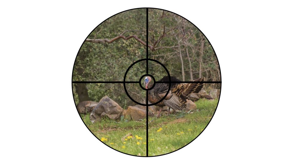 Nikon 1.65 BTR reticle