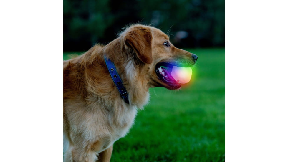 Nite Ize Glowstreak Wild Led Ball - Disc-o - GSBW-07-R8
