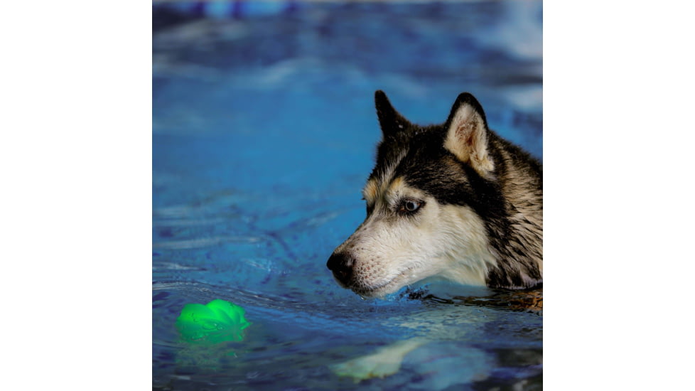 Nite Ize GlowStreak Wild LED Ball, Disc-O, GSBW-07-R8