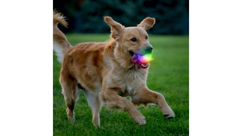 Nite Ize Glowstreak Wild Led Ball - Disc-o - GSBW-07-R8