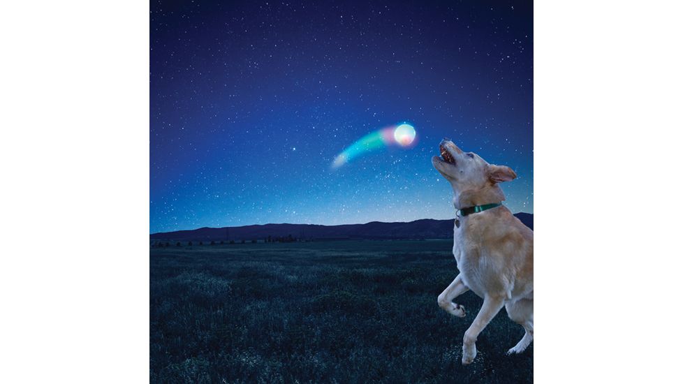 Nite Ize Huck 'N Tuck GlowStreak Collapsible Thrower + LED Ball, Disc-O HNTG-01-R7