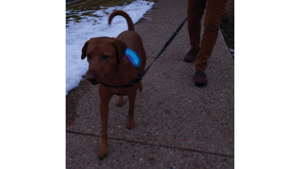 Nite Ize Nitedog LED Collar Cover, N05462