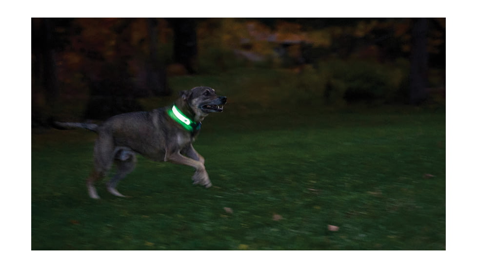 Nite Ize Nitedog LED Collar Cover, N05462