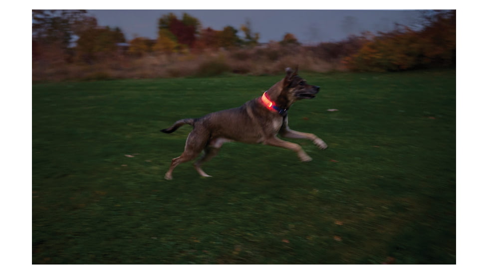Nite Ize Nitedog LED Collar Cover, N05462
