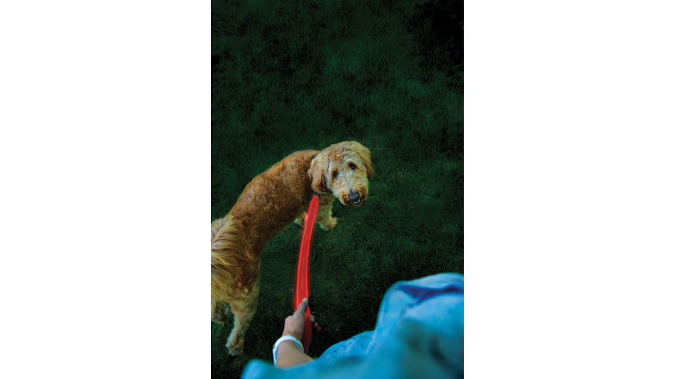 Nite Ize Nitedog Rechargeable Leash, N05463