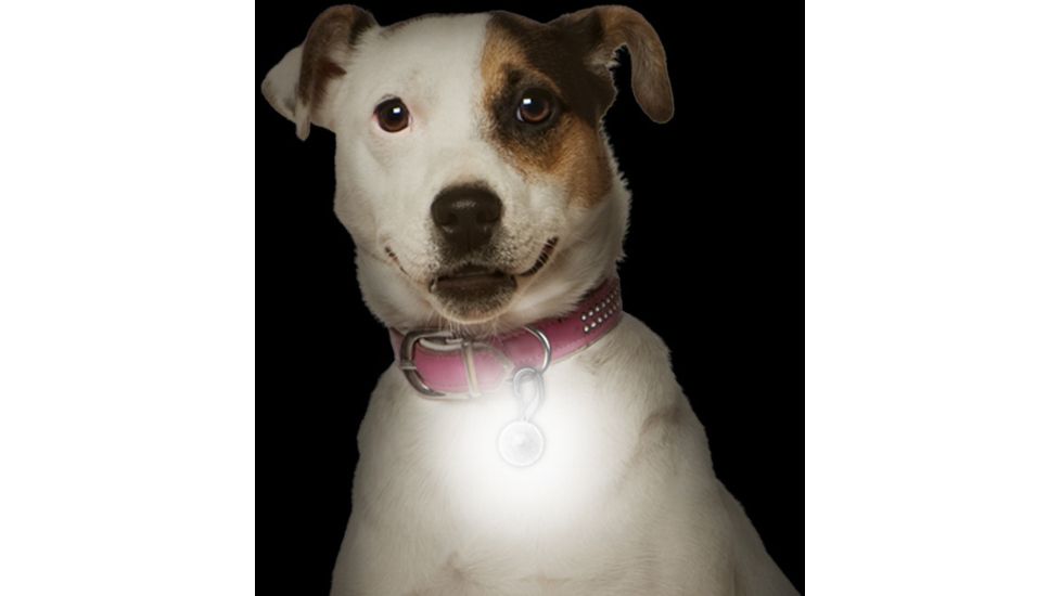 Nite Ize PetLit LED Collar Light, White LED - Jewel Pink PCL02-03-12JE